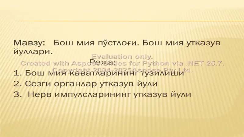 Bo'sh miya pўstloғi. Bo'sh miya utkazuv yullari 2