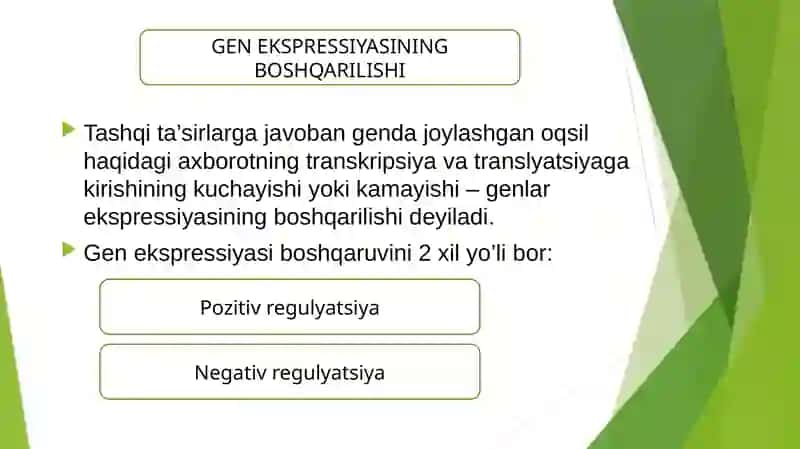 Genlar ta'sirini boshqarilishi, hujayra differensirovkasi. 2