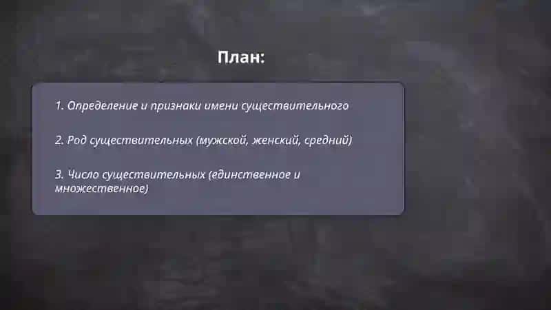 Имя существительное 2