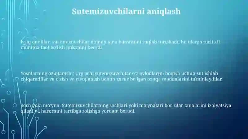 Sut Emuzuvchilar 2