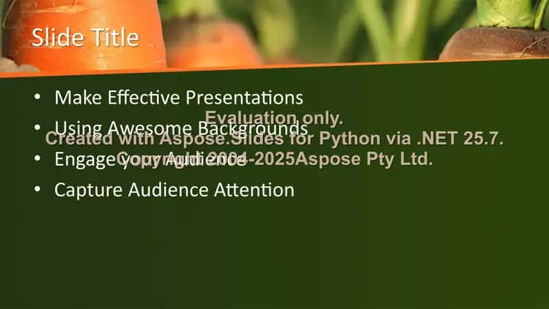 Presentation Templates 2