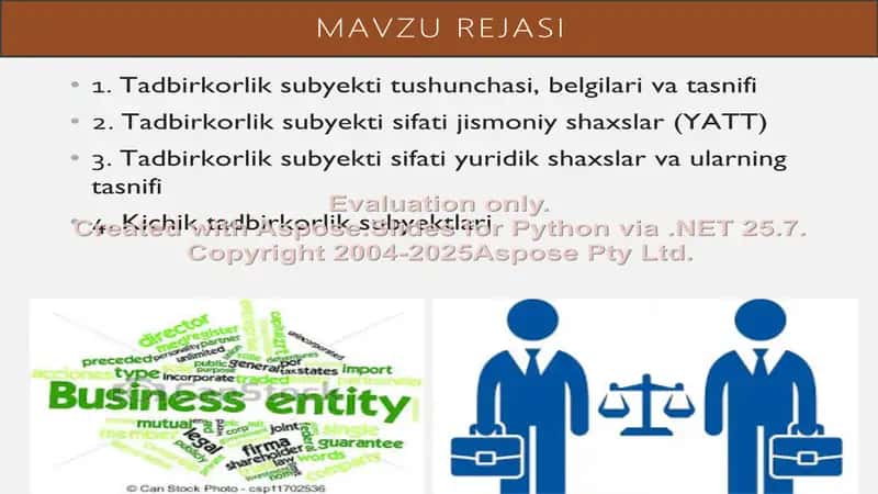 Tadbirkorlik subyektlar 2