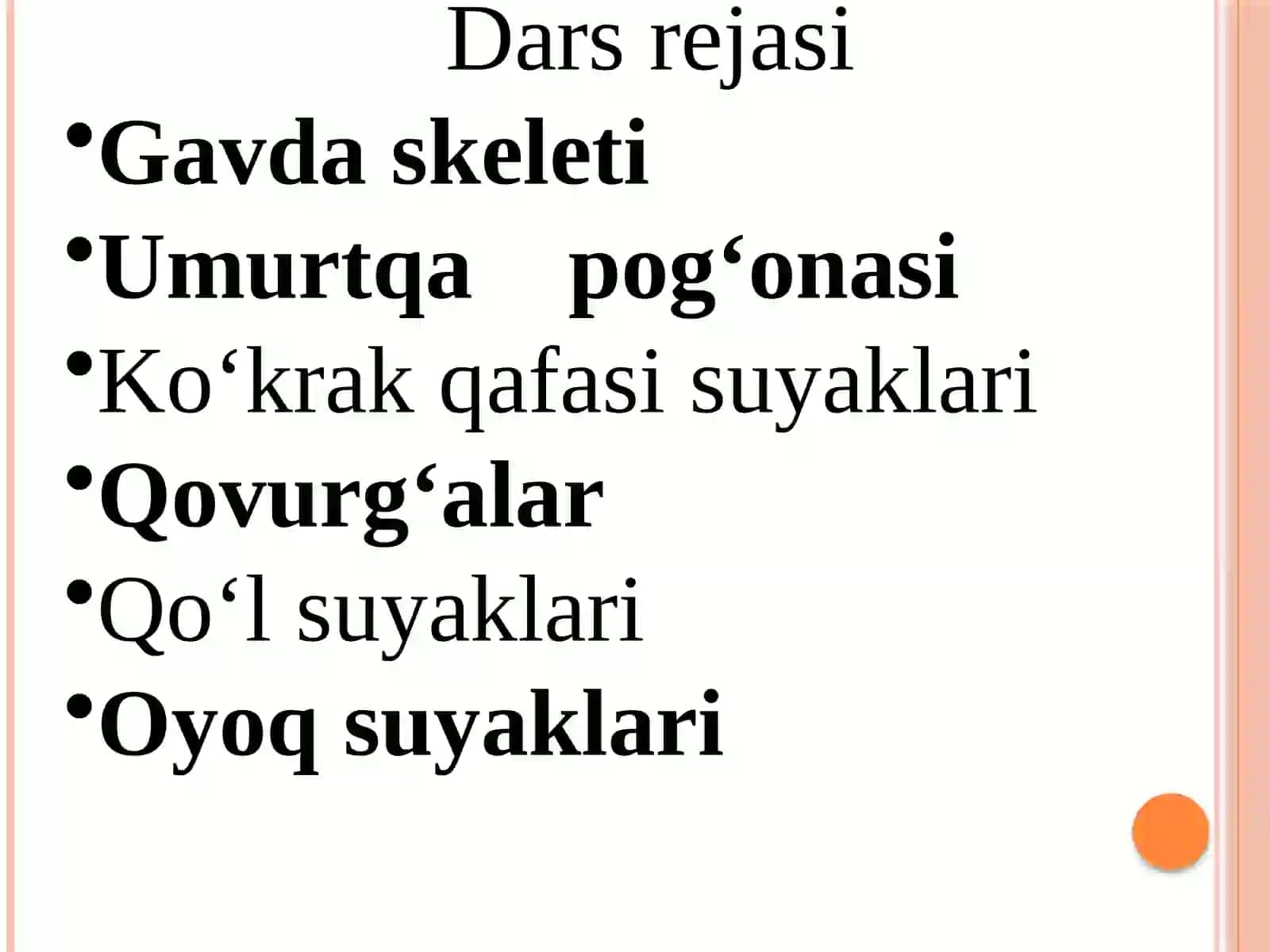 GAVDA SKELETI 2