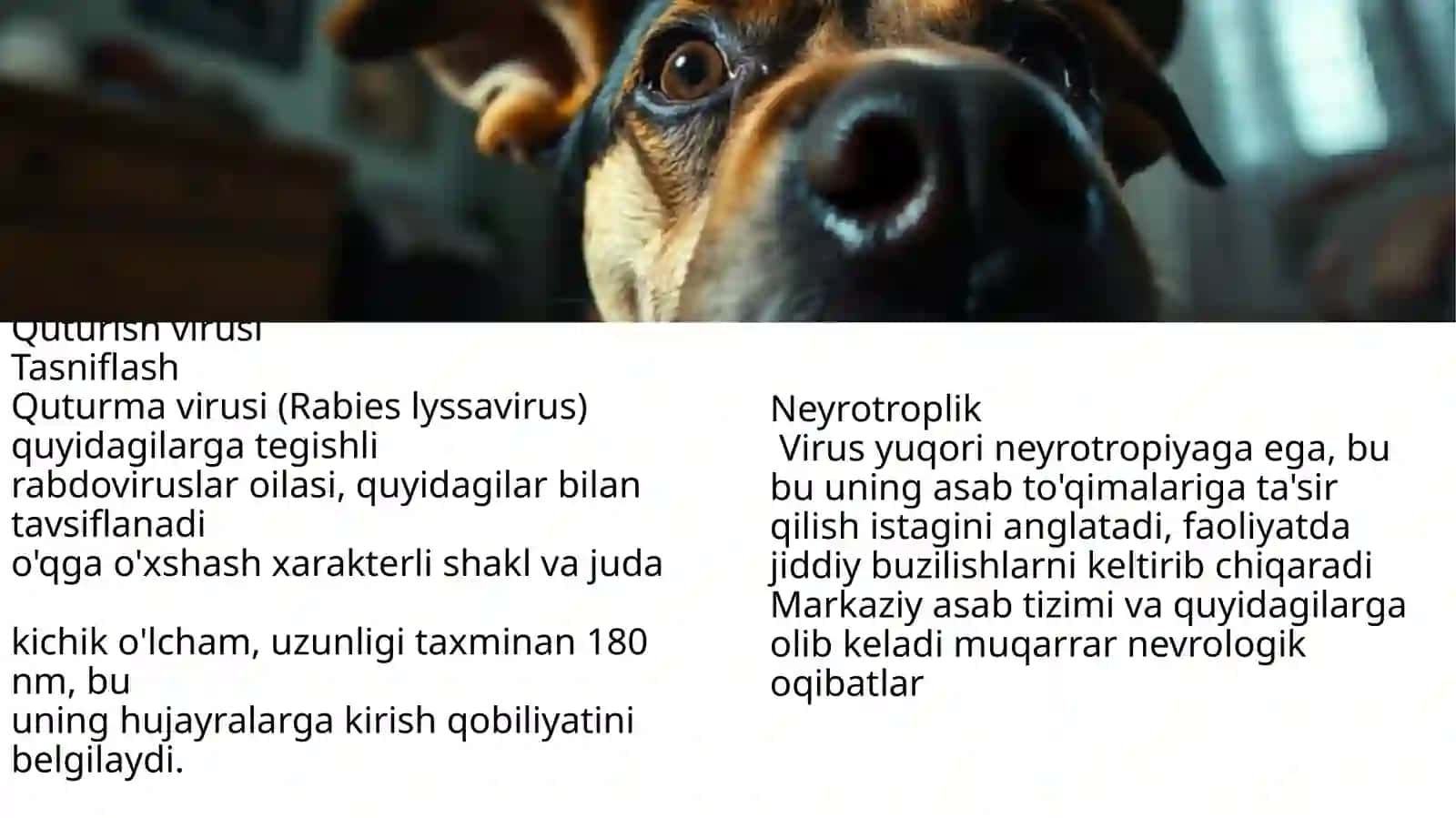 Quturish 2