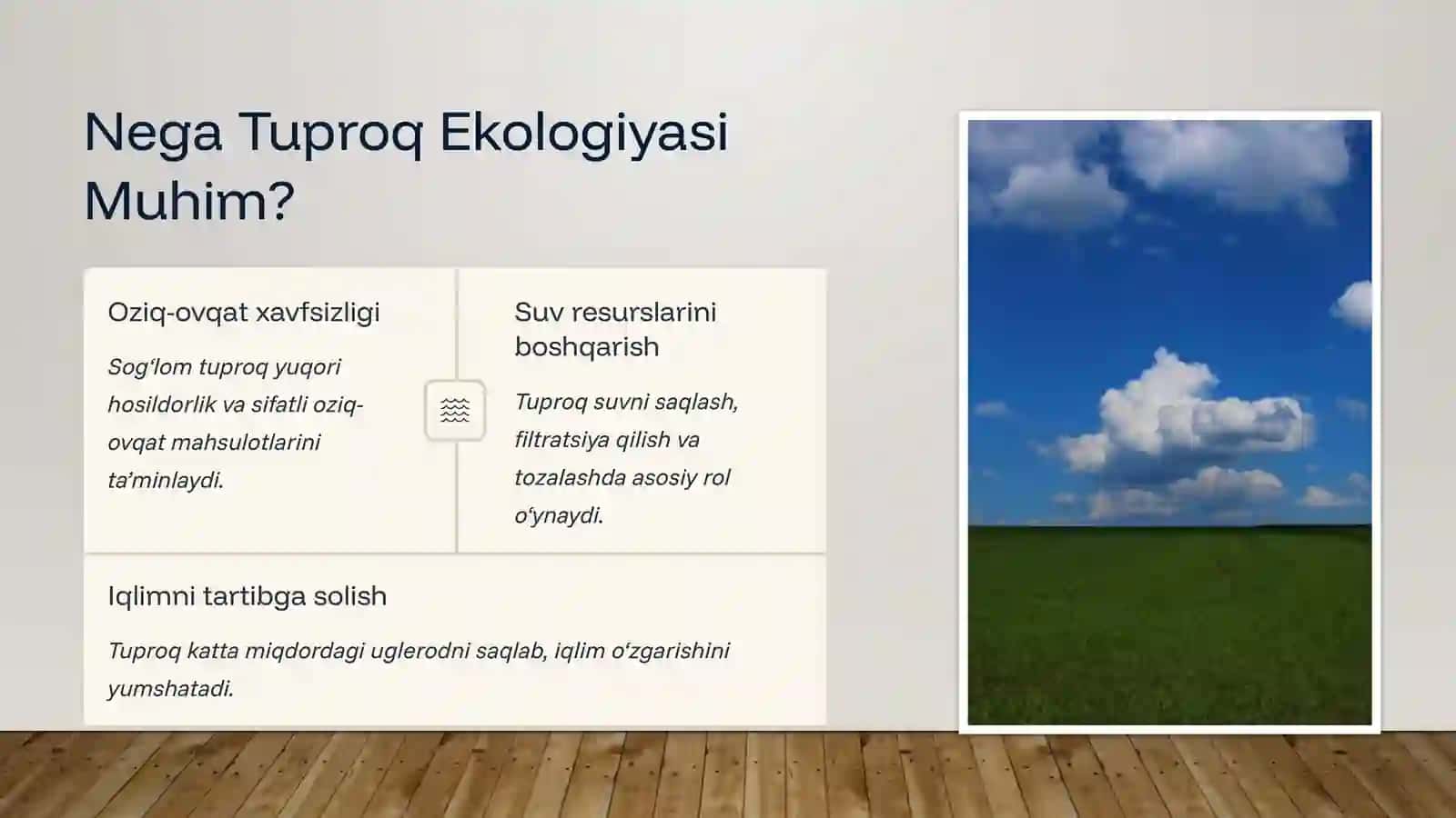 Tuproq ekologiyasi 2