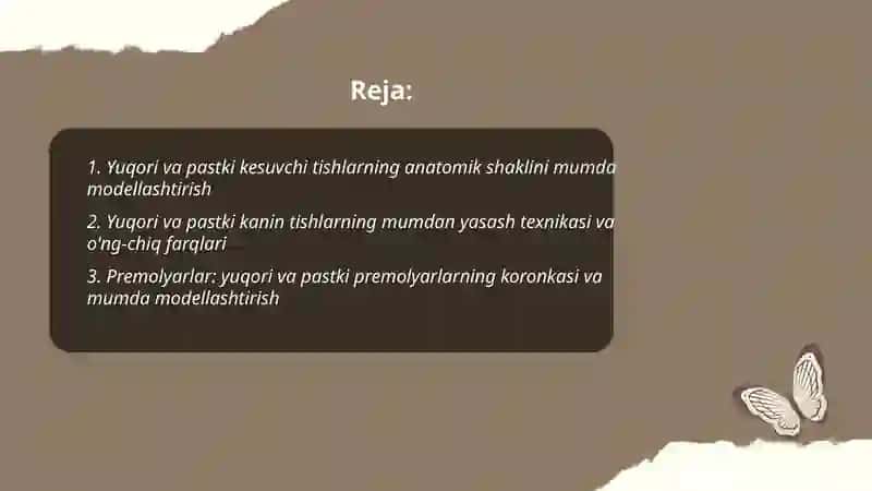 Yuqori va pastki jagʻ tishlarning anatomik shakllari 2