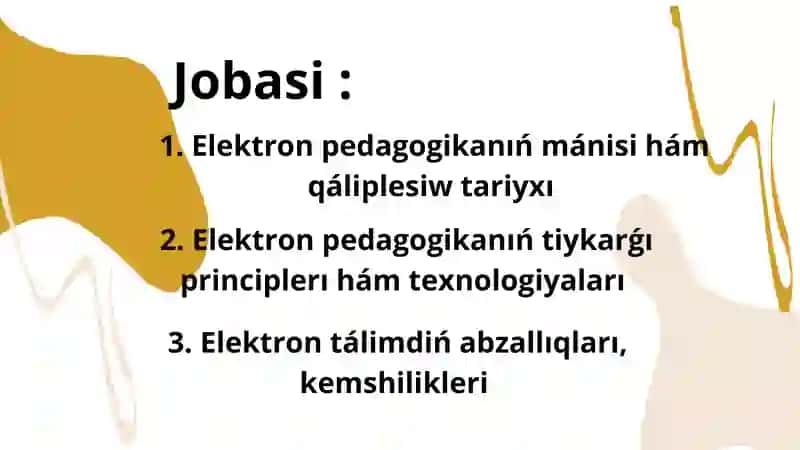 Elektron pedagogika hám pedagogtiń kásiplik informaciya maydanin joybarlaw 2