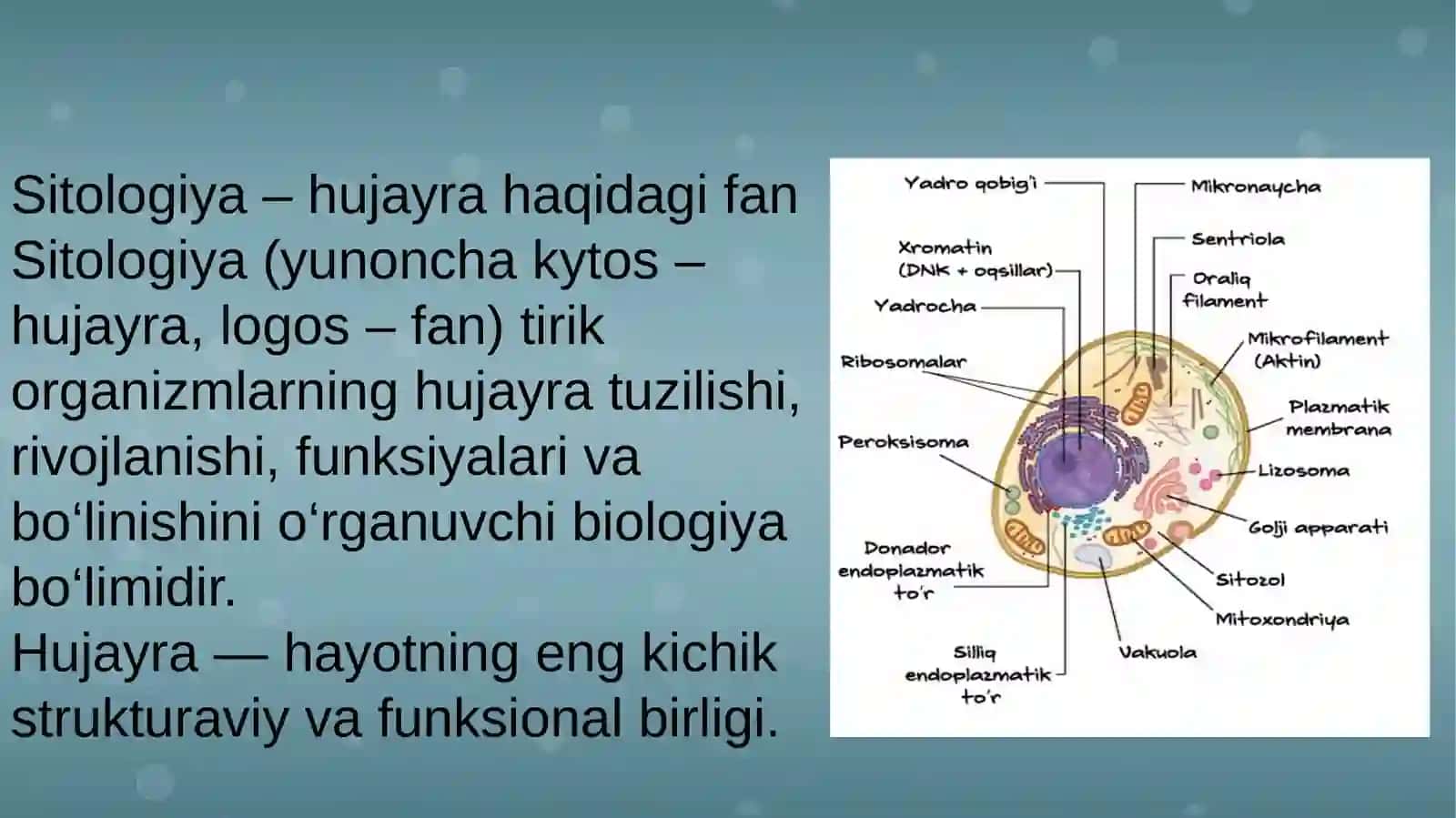 Sitologiyavagenetikaasoslari 2