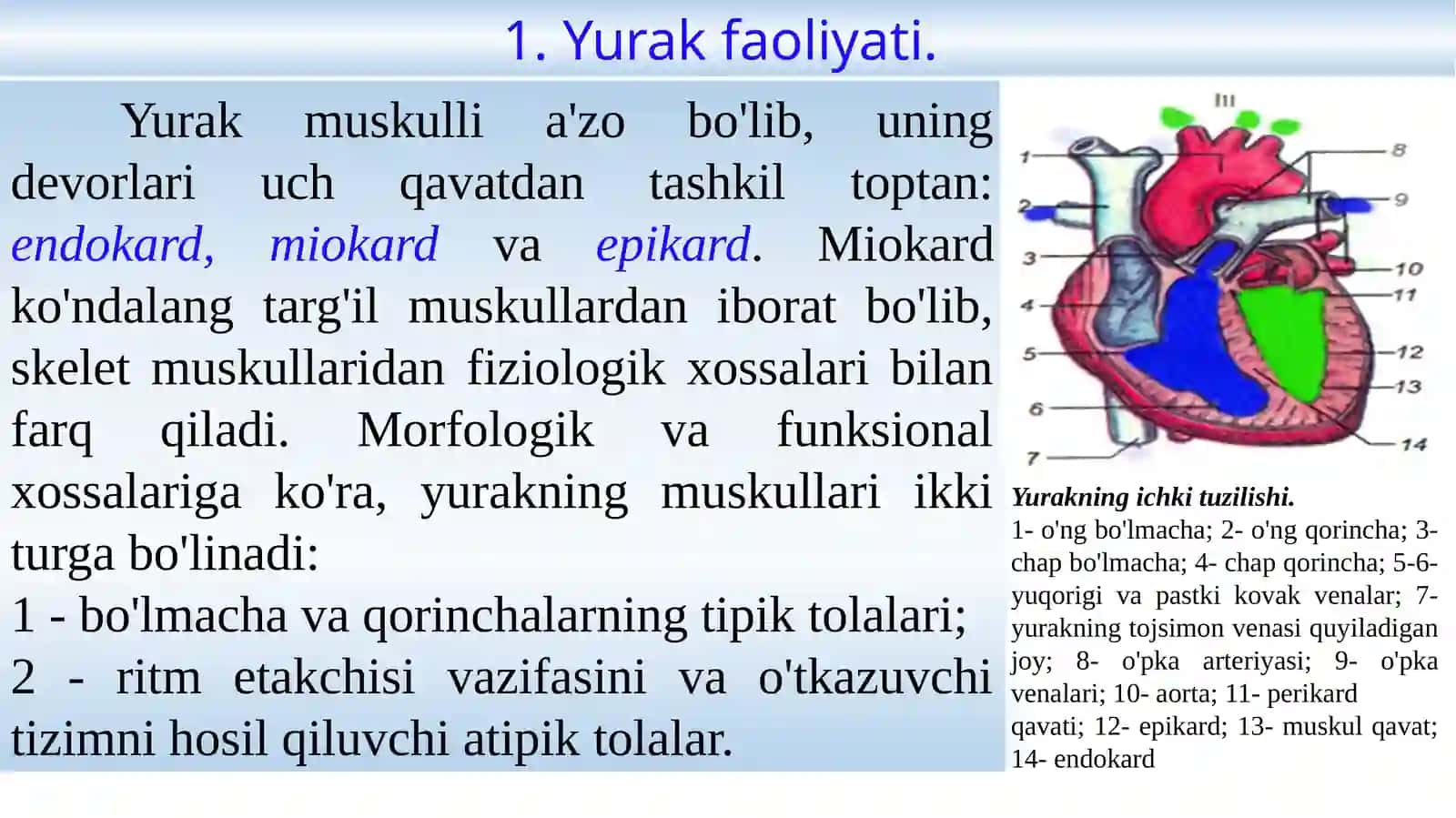 Yurak fiziologiyasi 2