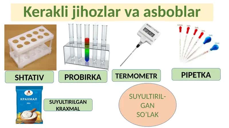 SO’LAK VA OSHQOZON SHIRASINING OZIQ MODDALARGA TA’SIRINI O’RGANISH 2