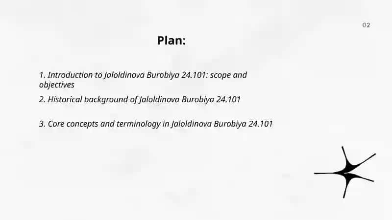 Jaloldinova Burobiya 24.101 2