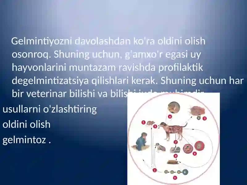 Gijjalarga jonivorlarga qarshi vositalar 2