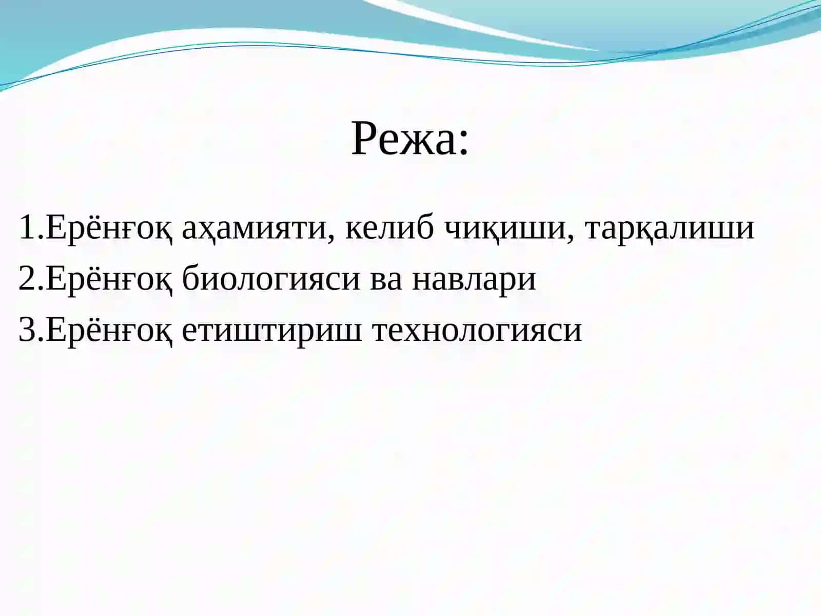 Ерёнғоқни такрорий экин сифатида етиштириш технологияси 2