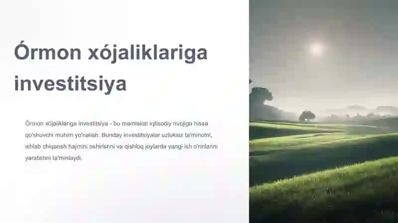 Órmon xójaliklariga investitsiya 2