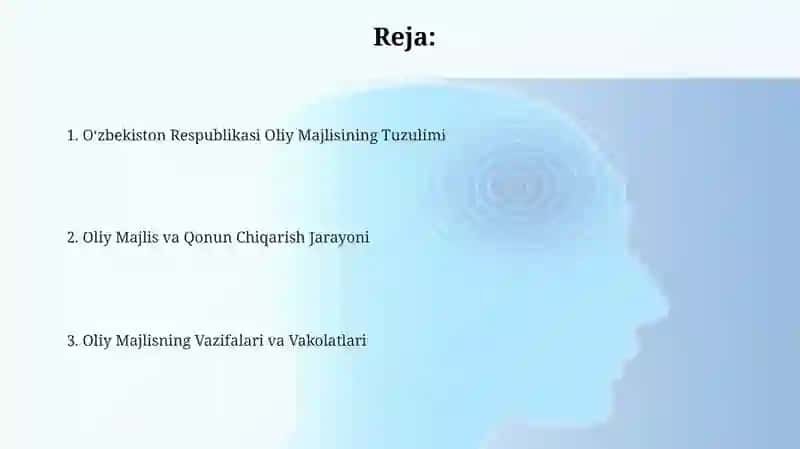 O‘zbekiston Respublikasi Oliy Majlisining Tuzulimi 2