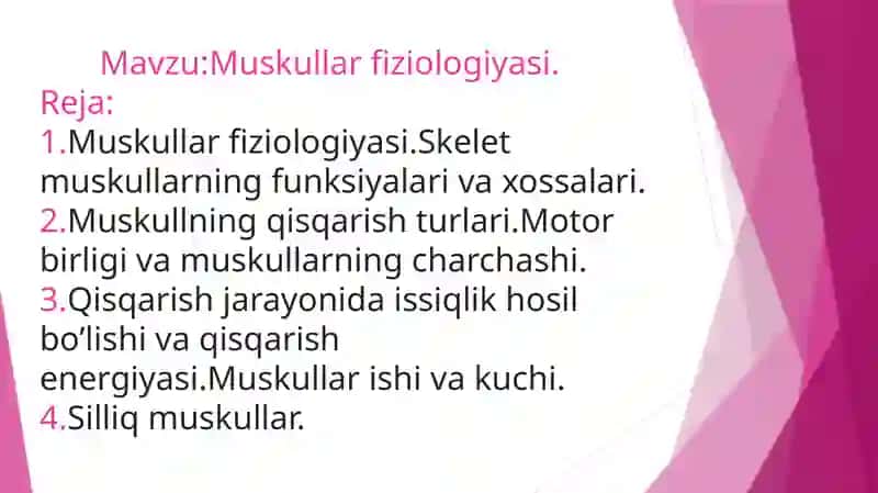 Muskullar Fiziologiyasi 2