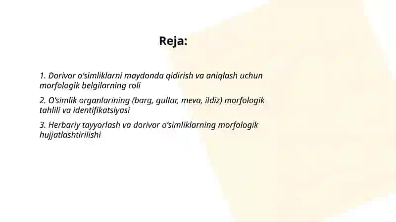 Dorivor oʻsimliklarni izlab topish morfologiyasi oʻrganish 2