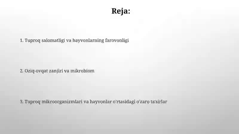 Tuproq mikroorganizmlari va hayvonlar orasidagi munosabatlar 2