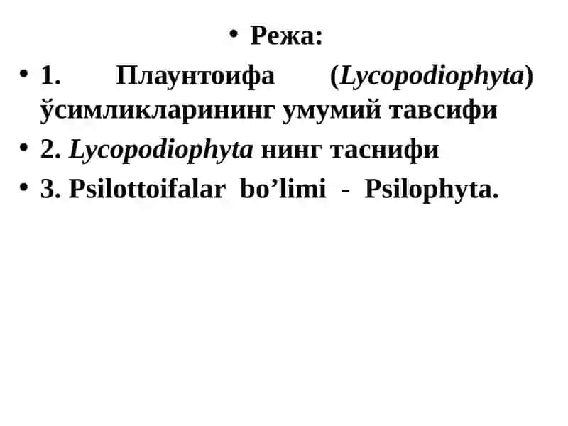 ПЛАУНТОИФА (LYCOPODIOPHYTA) ЎСИМЛИКЛАР БЎЛИМИ 2