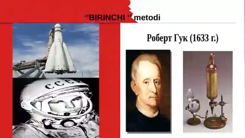 Qonaylanishning ahamiyati, yurakning tuzilishi 2