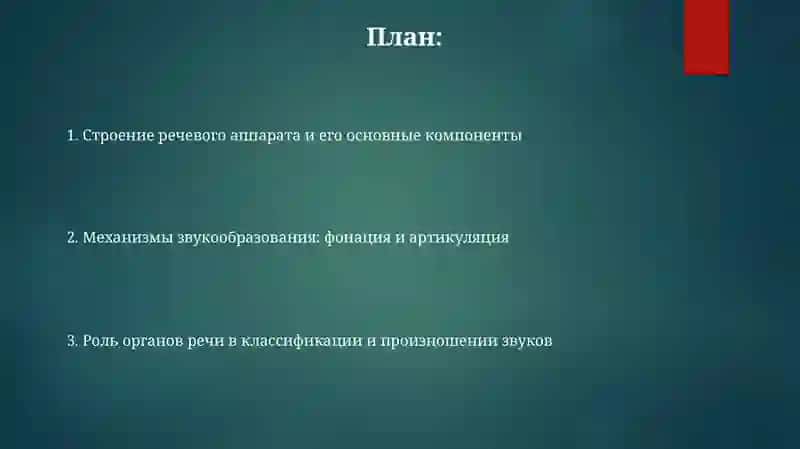 Речевой аппарат и роль органов речи в звукообразовании 2