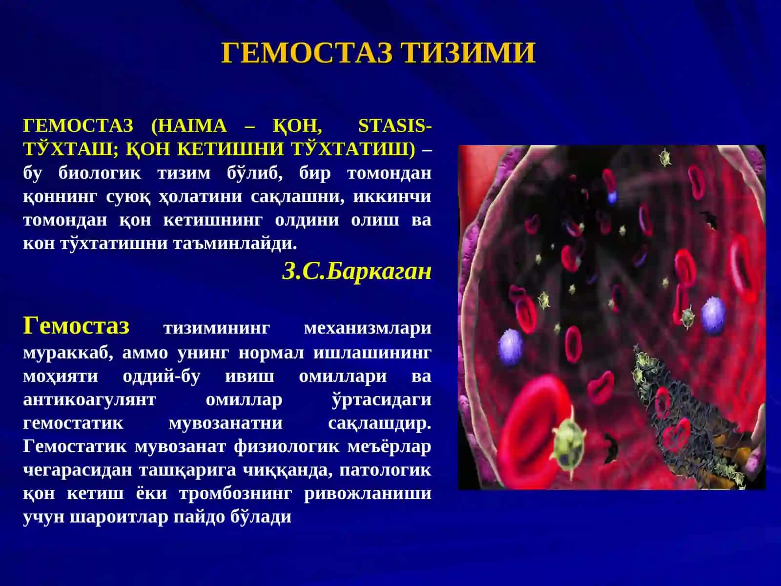 ҚОН ИВИШ ТИЗИМИ ЛАБОРАТОР КЎРСАТКИЧЛАРИ 2