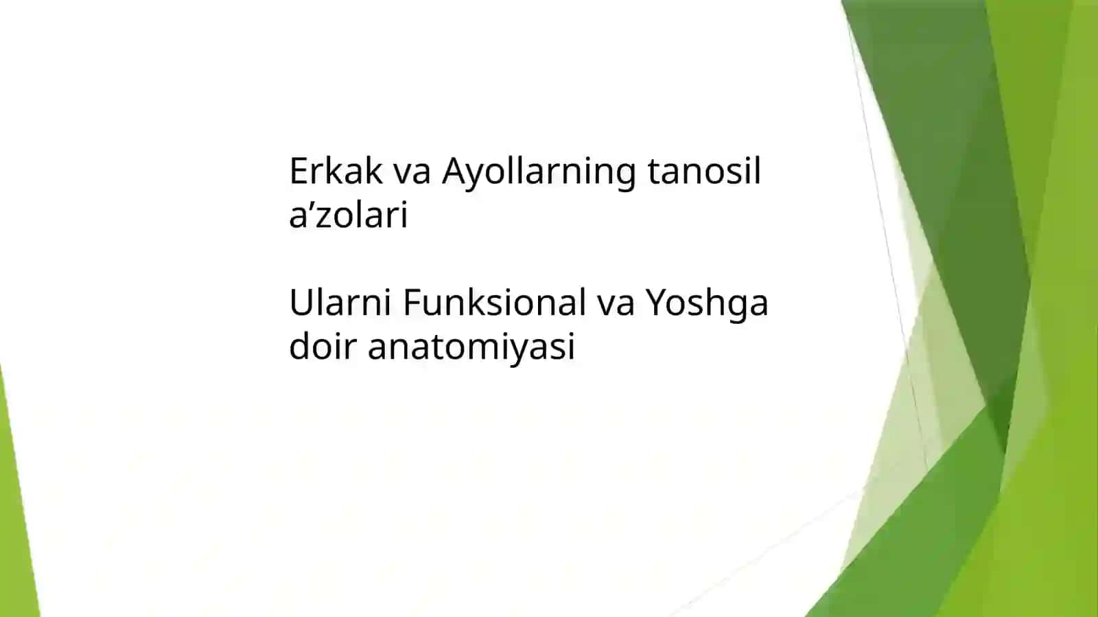 2-Davolash fakulteti dasturiy anatomiyasi 2
