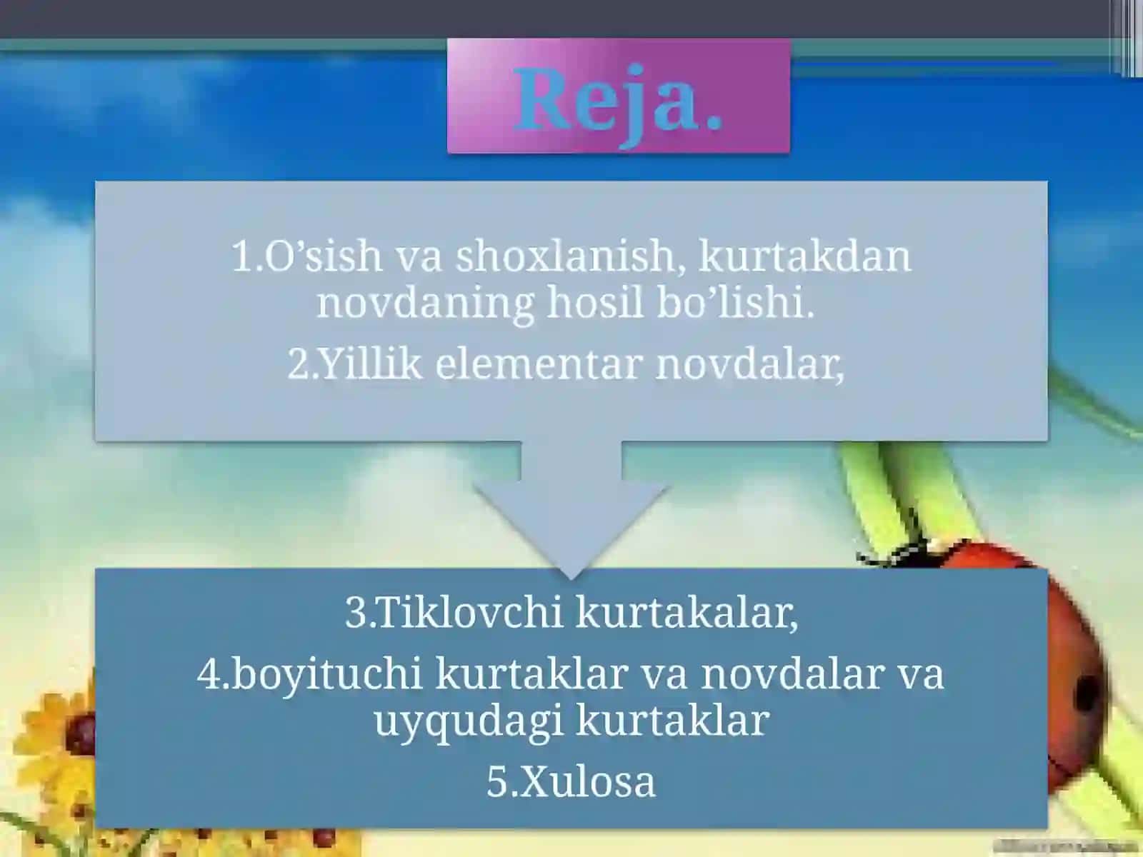 O’simliklar anatomiyasi va fiziologiyasi 2
