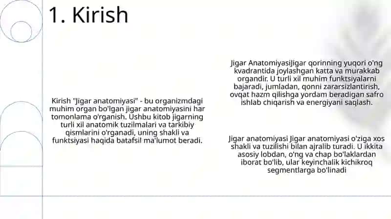 Jigar Anatomiyasi 2