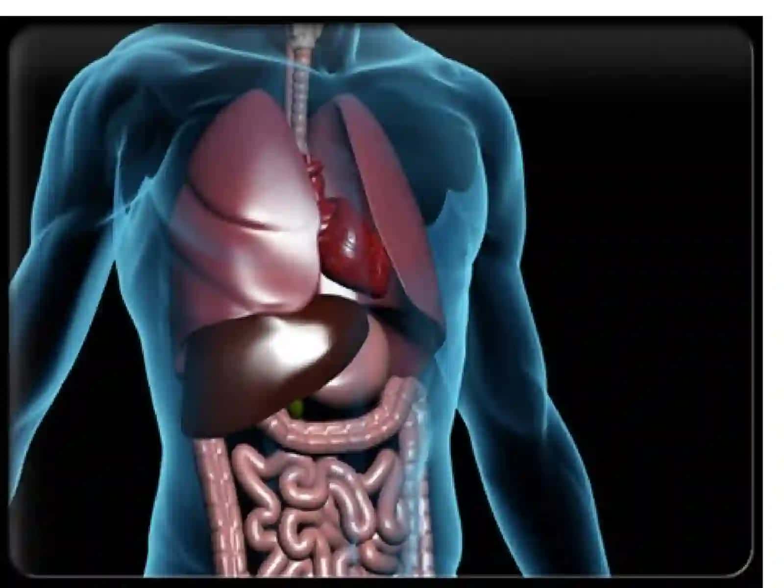 Функциональные заболевания желудочно-кишечного тракта у детей 2