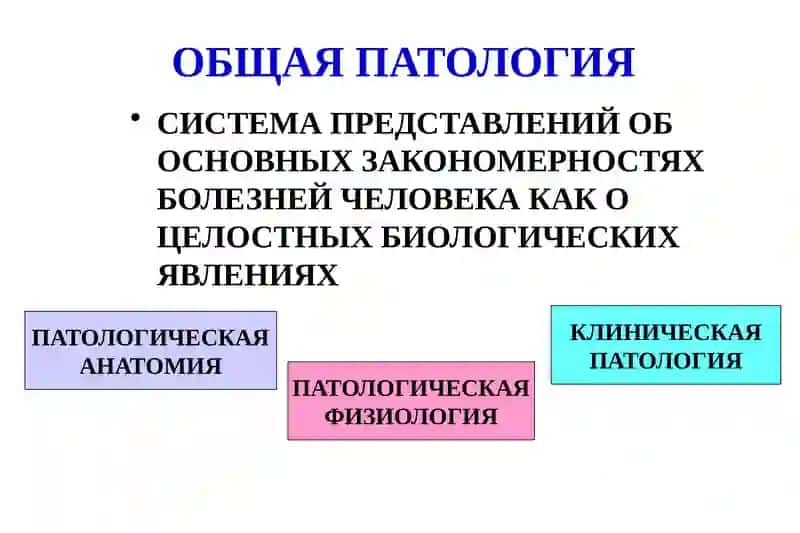 ОбЩАЯ ПАТОЛОГИЯ 2