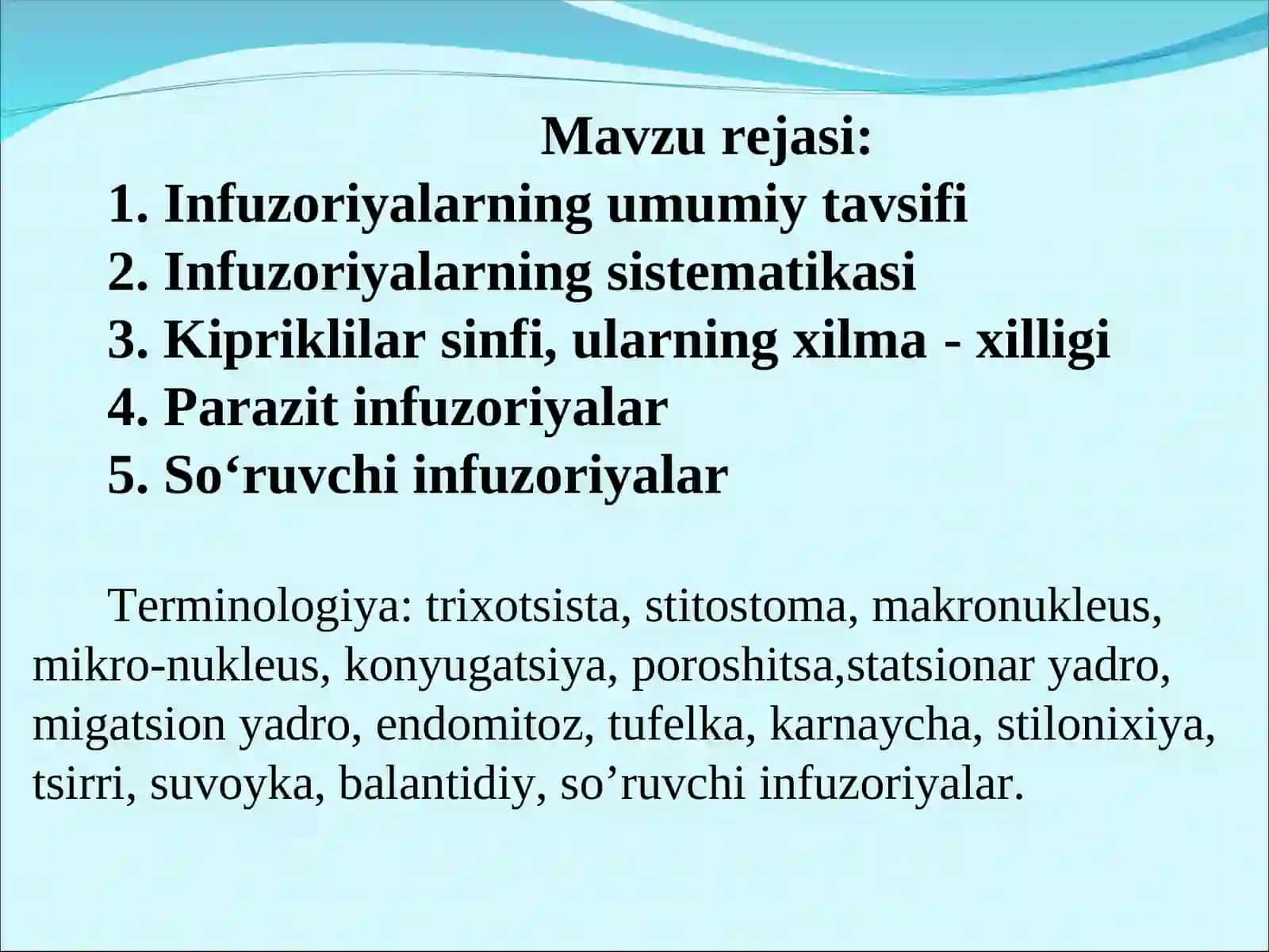 Infuzoriyalar tipi 2