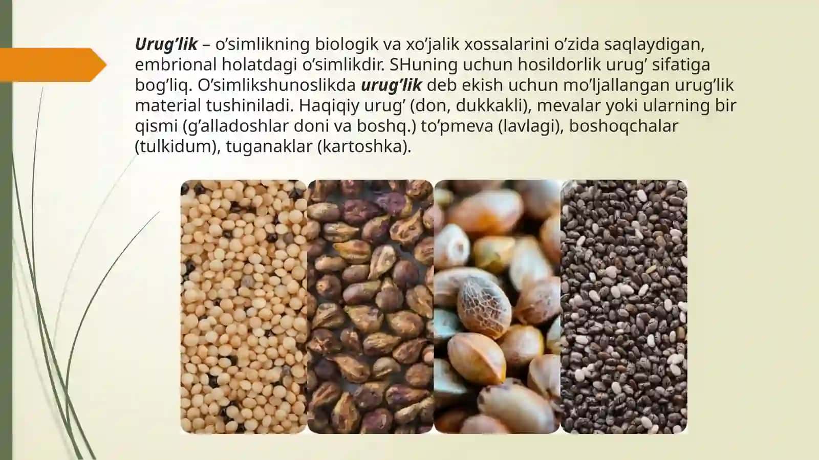 QISHLOQ XO’JALIGI EKINLARI URUG’INING FIZIK-MEXANIK XOSSALARINI O’RGANISH 2