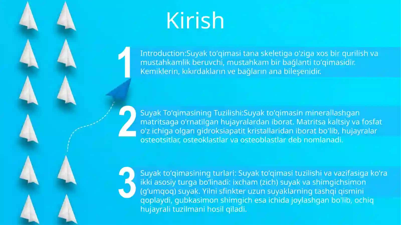 Suyak ToʻQimasi Tuzilishi 2