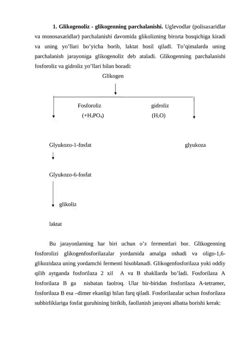 Glikogenning sintezi va parchalanishi 2