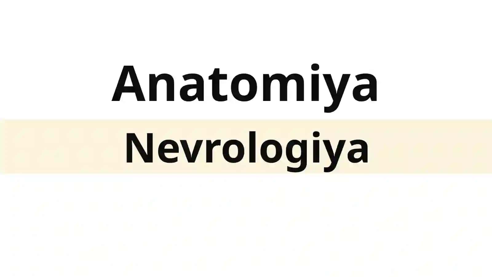 Nevrologiya Markaziynervtiziminingfunksionalanatomiyasi 2