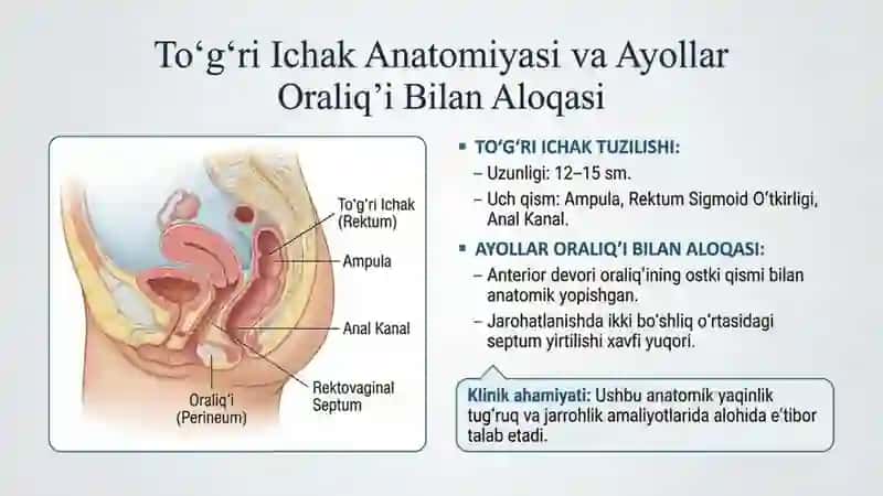 Ayollar oraligʻi va to'g'ri ichak jarohatlanishlarida  operatsiyalar qilish texnikasi 2