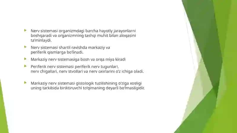 Orqa miya gistologiyasi 2