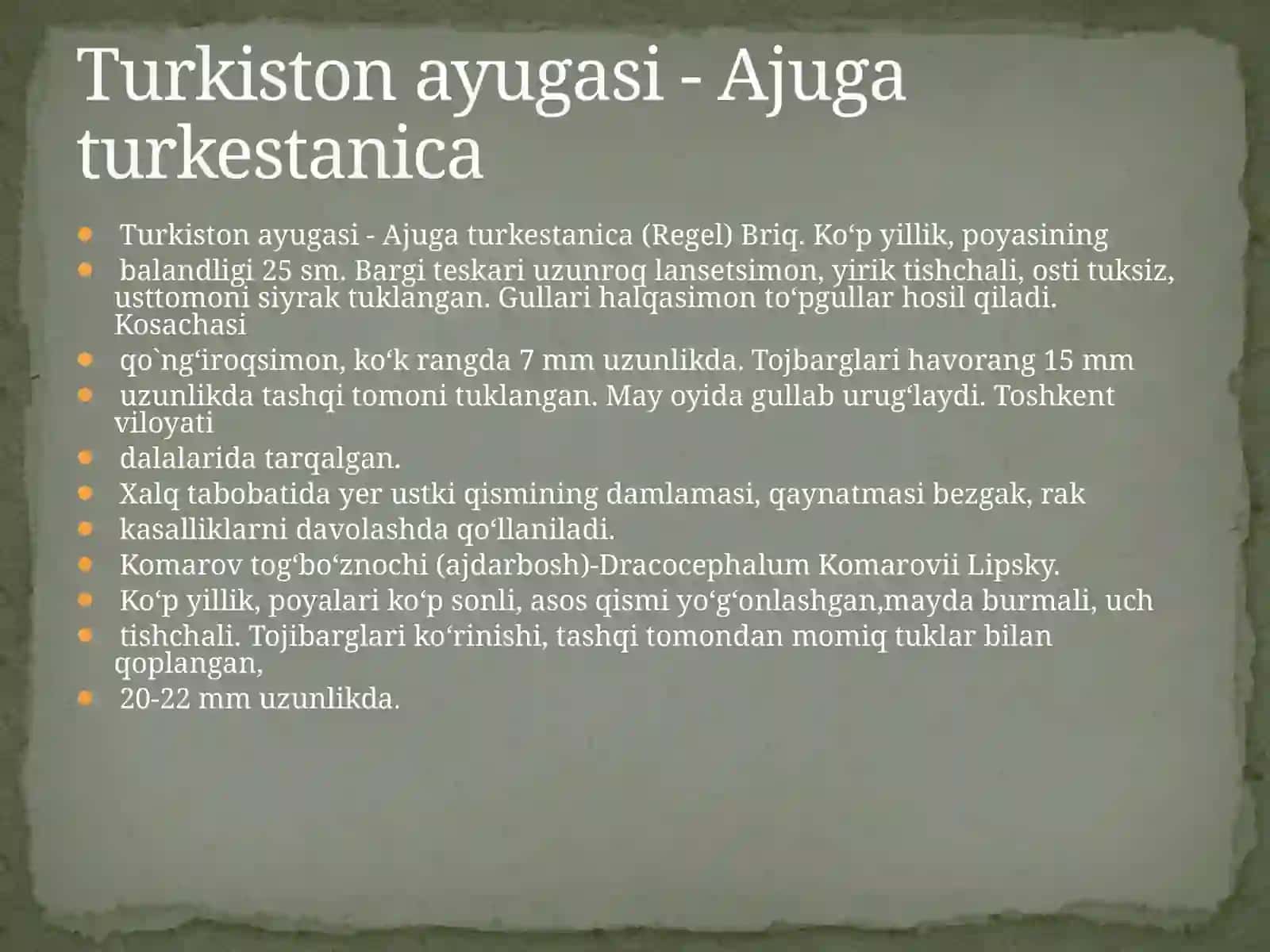 Dorivor o'simliklar urug'chiligi va ko'chatchiligi 2