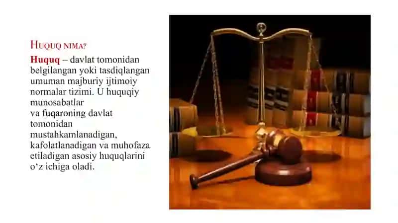 Huquq va erkinliklar kafolatlari 2