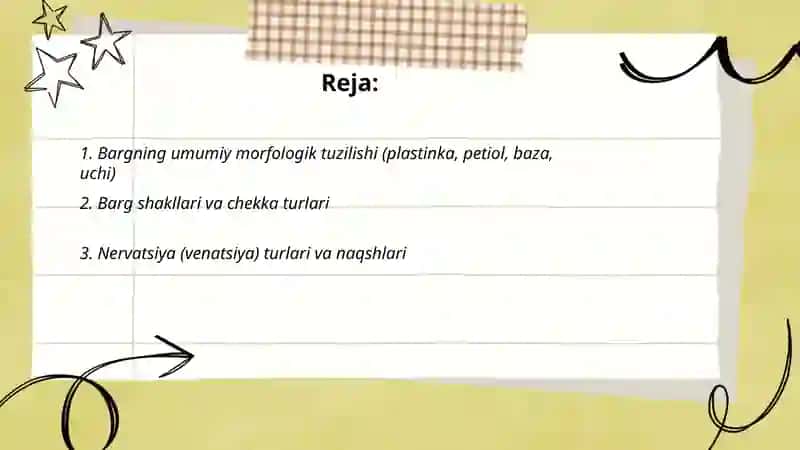 Barg morfologiyasi va anatamik funksiyasi 2