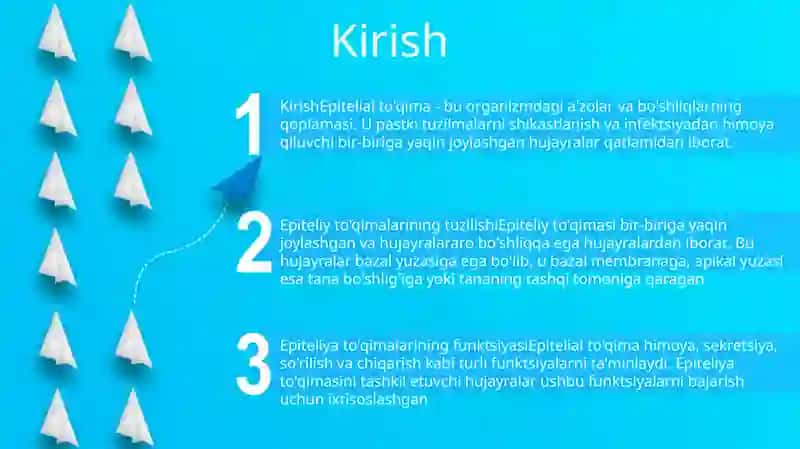 Epiteliy ToʻQimasi Va Uning Tuzilishi 2