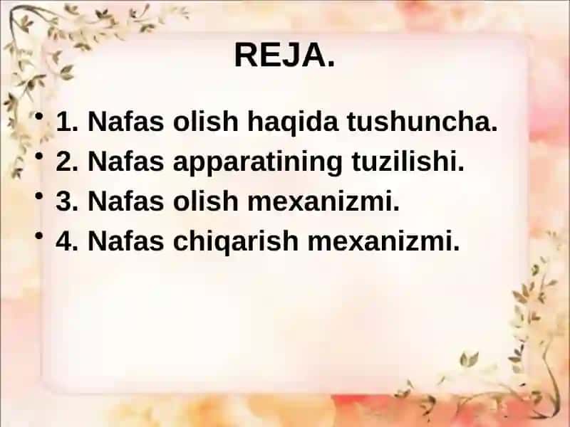 Nafas olis fiziologiyasi 2