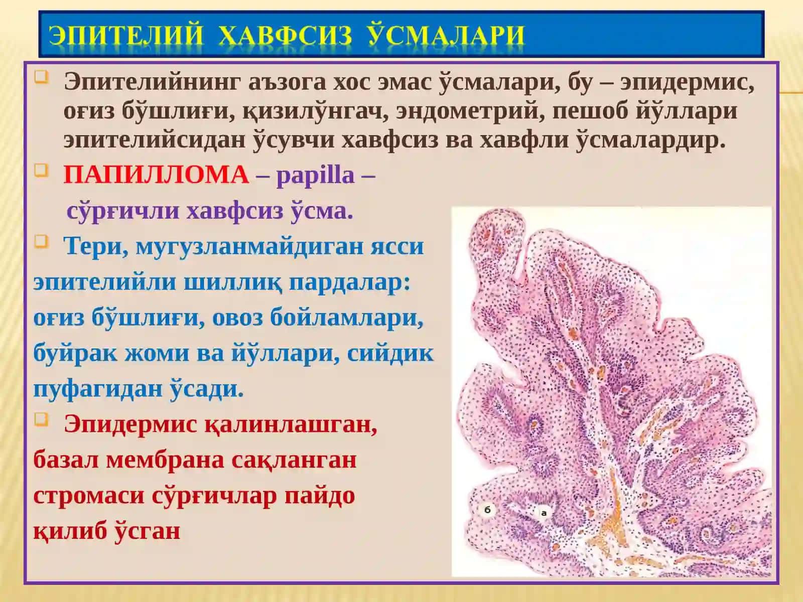Ўсмалар. Мезенхимал ўсмалар 2
