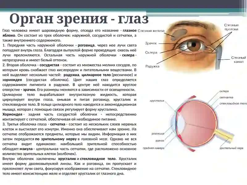 Приборы для диагностики заболеваний органов зрения 2
