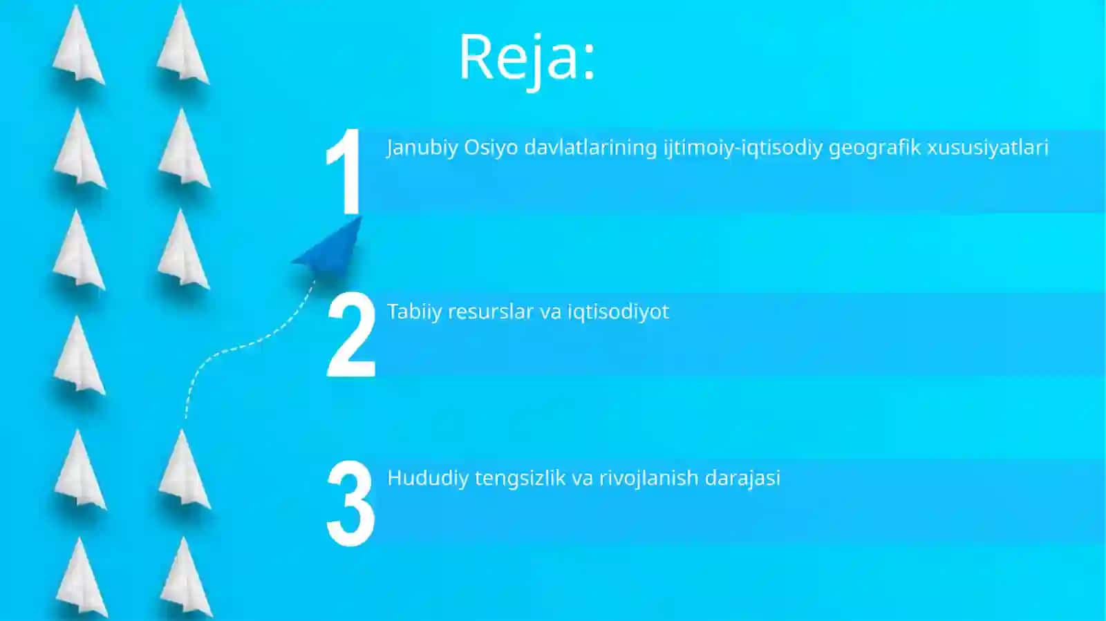 Janubiy Osiyoda davlatlarning ijtimoiy iqtisodiy geografiyasi 2