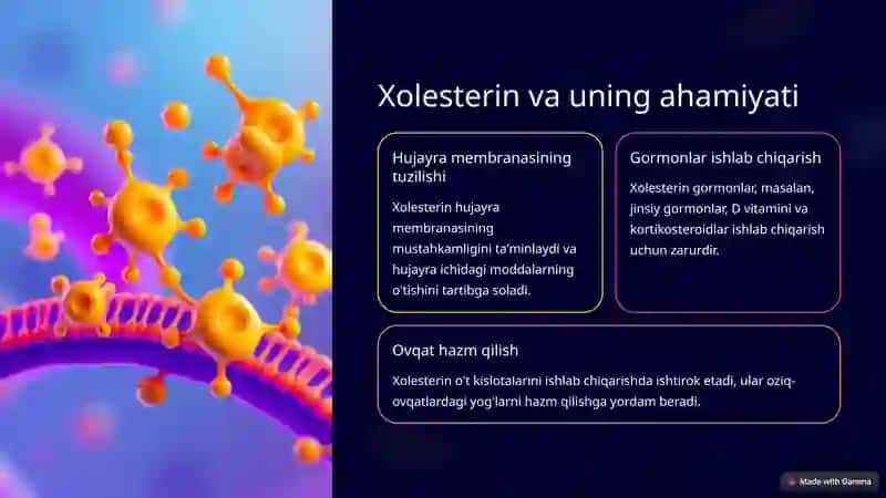 Xolesterin Tashilishida Qatnashuvchi Apo-oqsillar 2