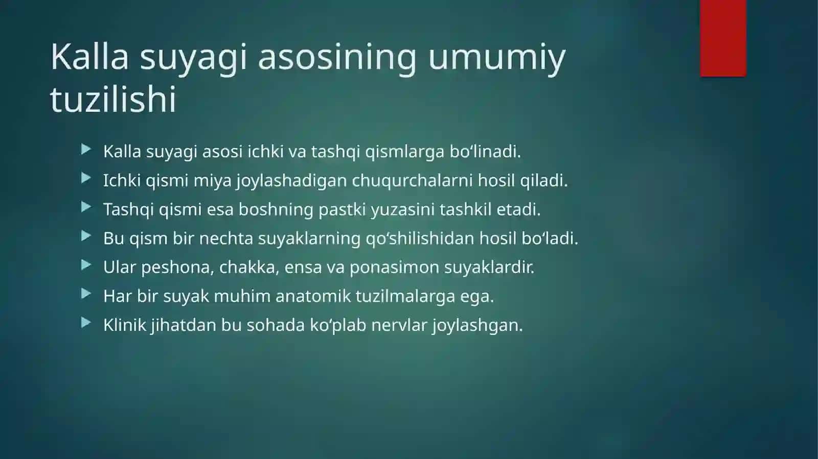 Kalla suyagi asoslari klinik anatomiyasi 2