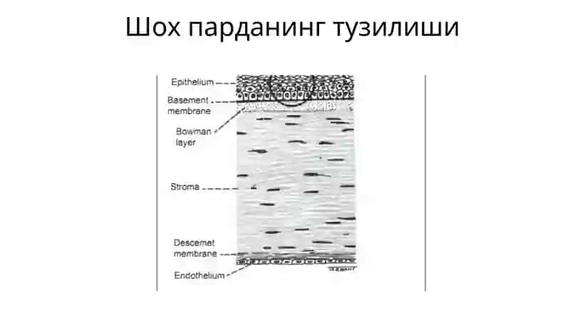 Тошкентт иббиёт академияси 2