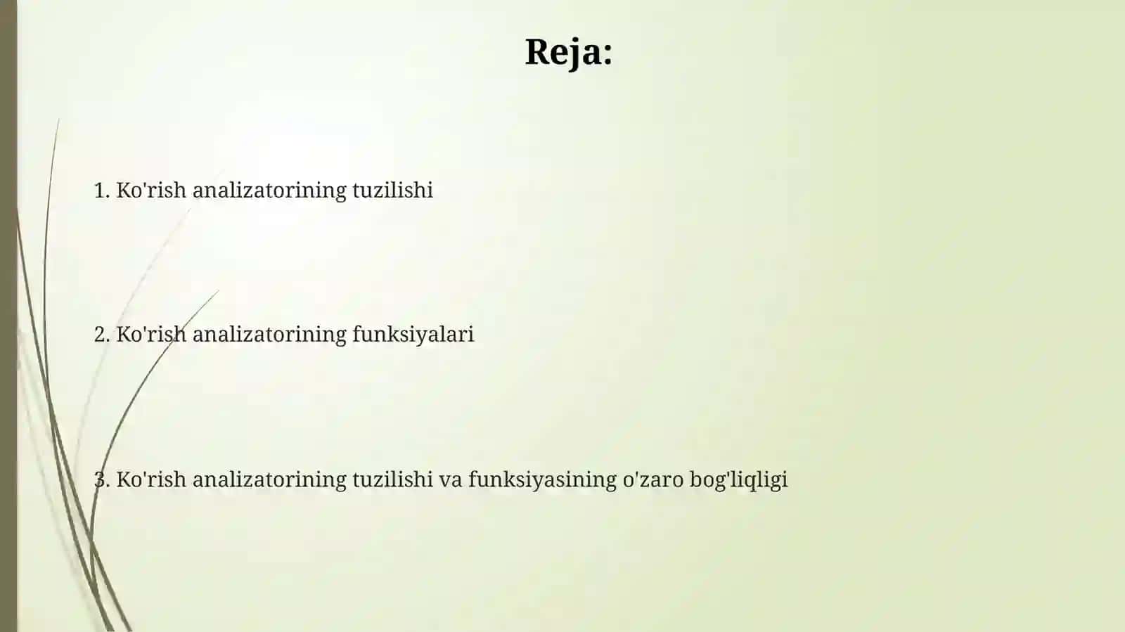 Koʼrish analizatorlarining tuzilishi va funksiyasi 2